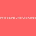 Conoce el Largo Crop: Guía Completa