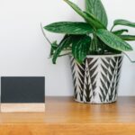 Vestimenta laboral: nombres y tipos comunes