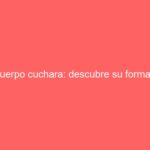 Cuerpo cuchara: descubre su forma y características