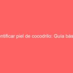 Identificar piel de cocodrilo: Guía básica