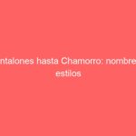 Pantalones hasta Chamorro: nombres y estilos